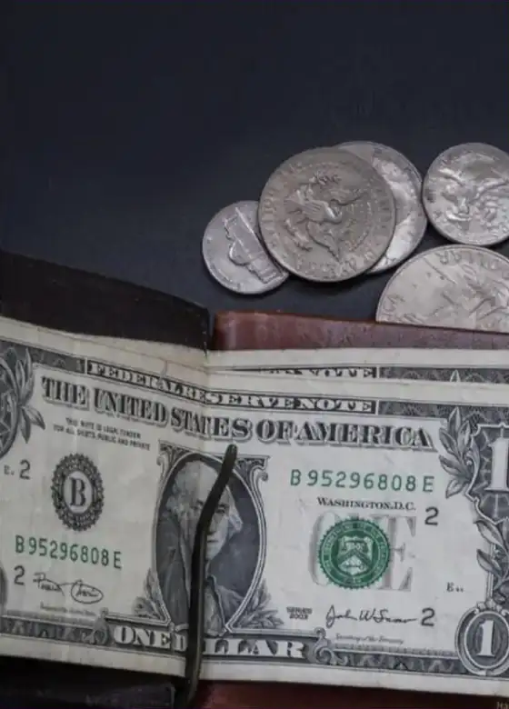 De-Dollarization: Myth and Reality